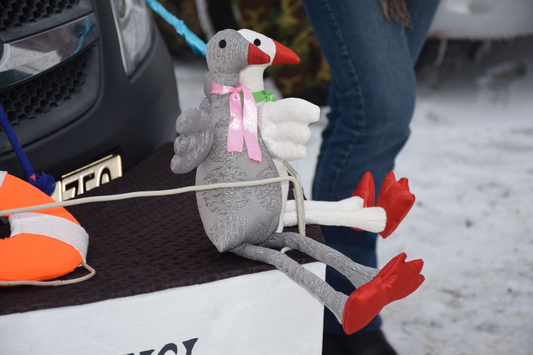 Павловский Посад, машина, конкурс, Автоледи