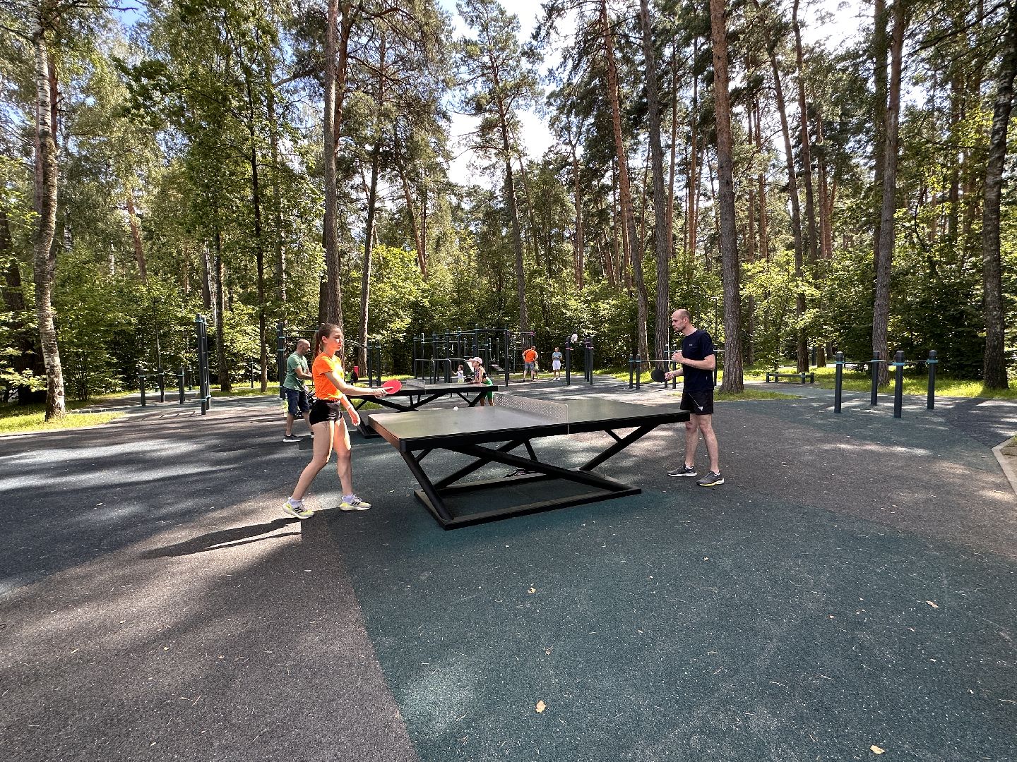 Одинцово, Малевич, Парки Подмосковья