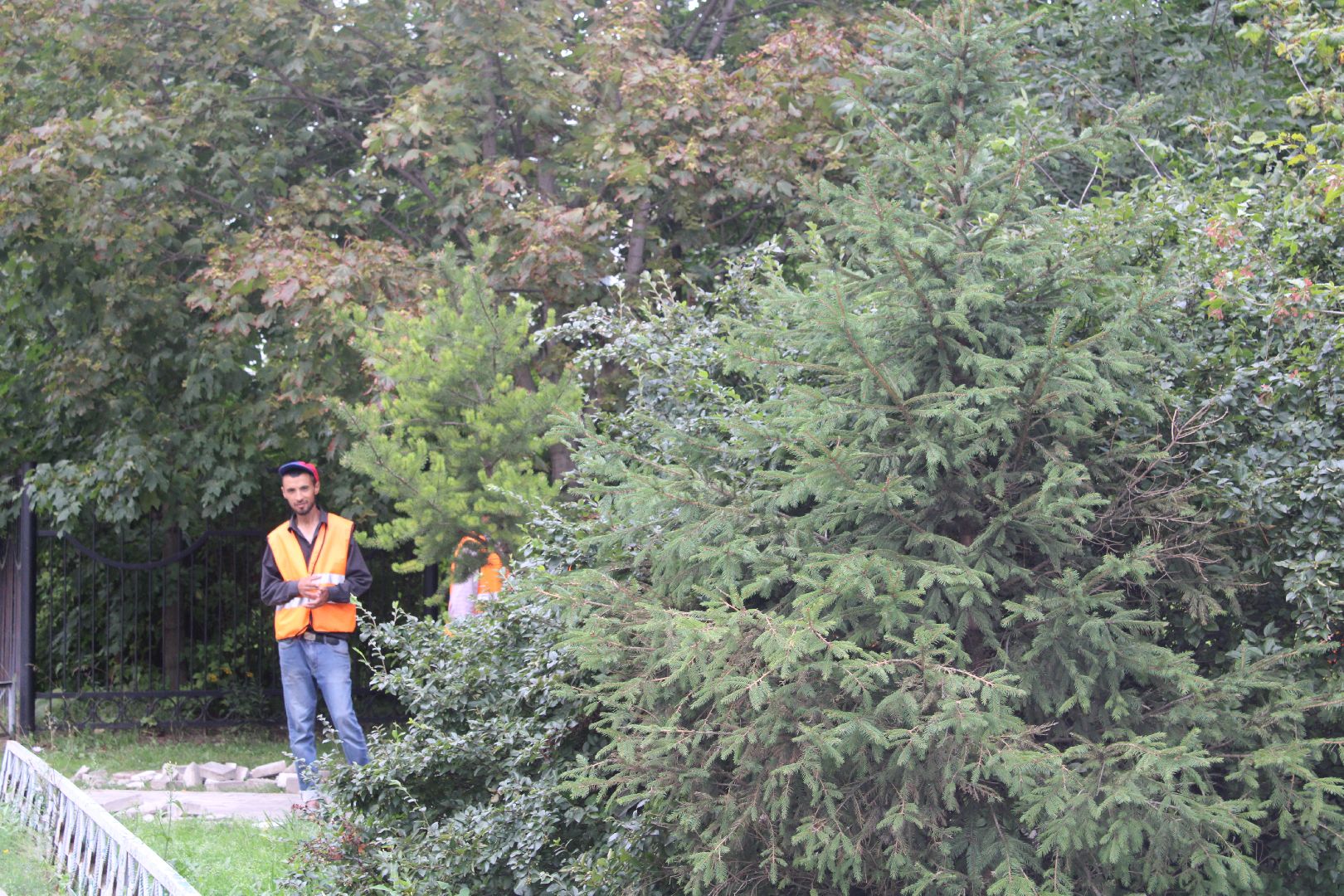 благоустройство, сквер, парки подмосковья,