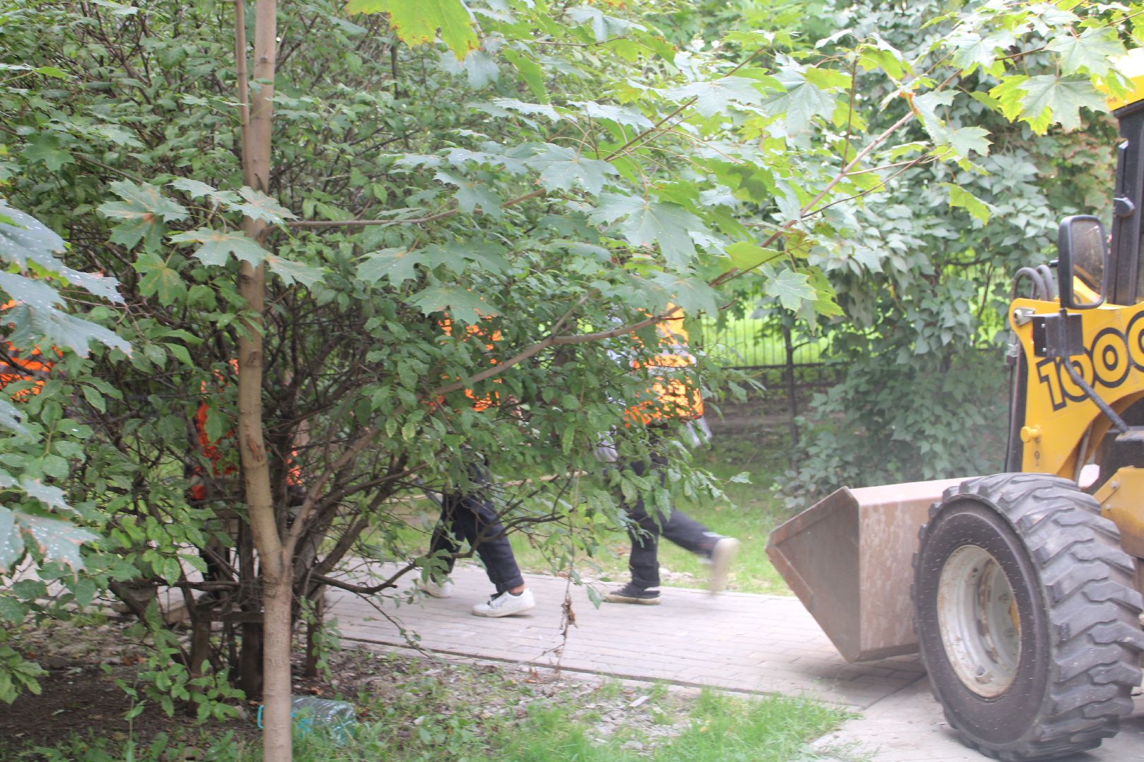 благоустройство, сквер, парки подмосковья,