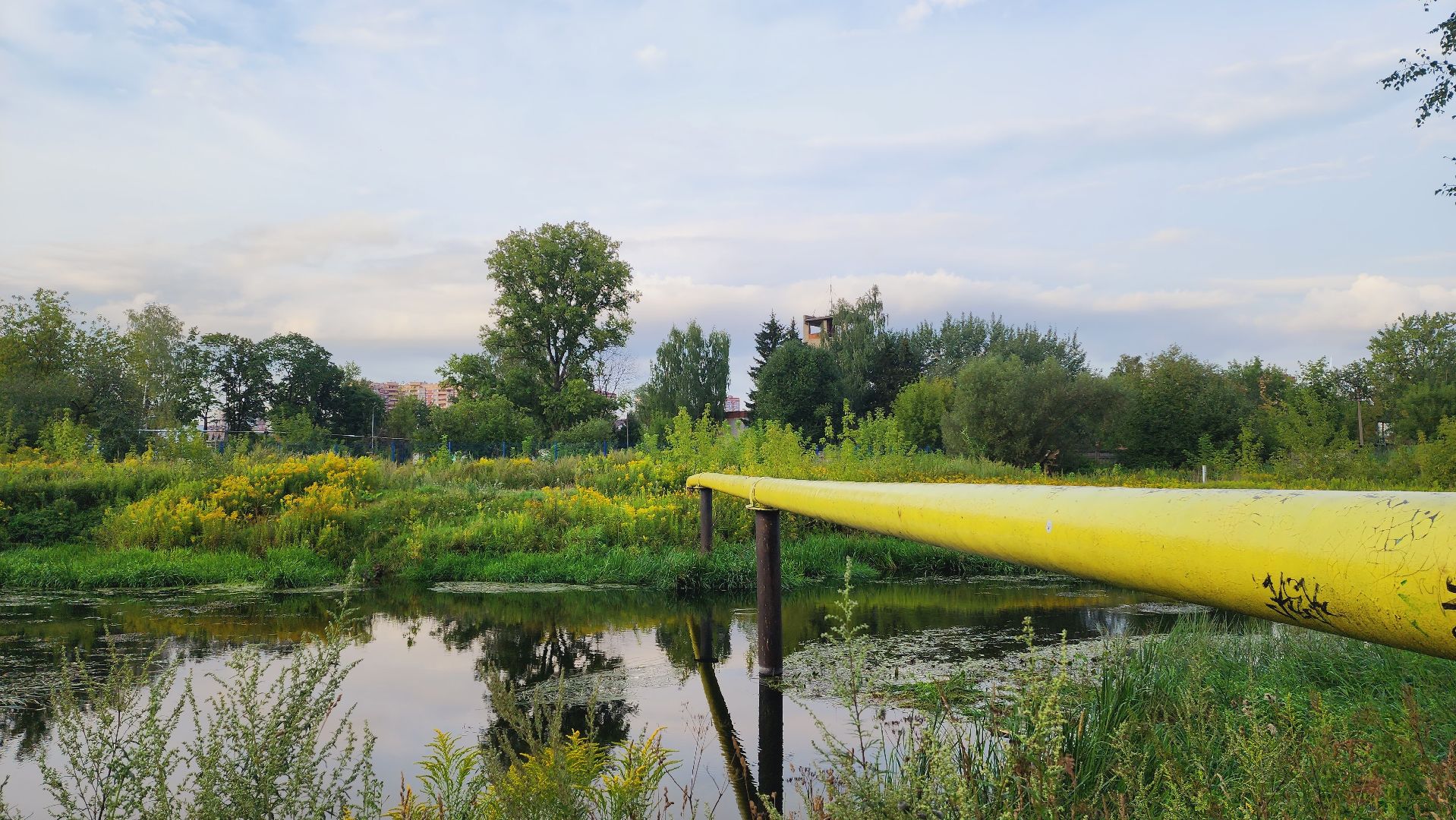 Подмосковье, Ивантеевка, благоустройство, пушкинский округ, парк,