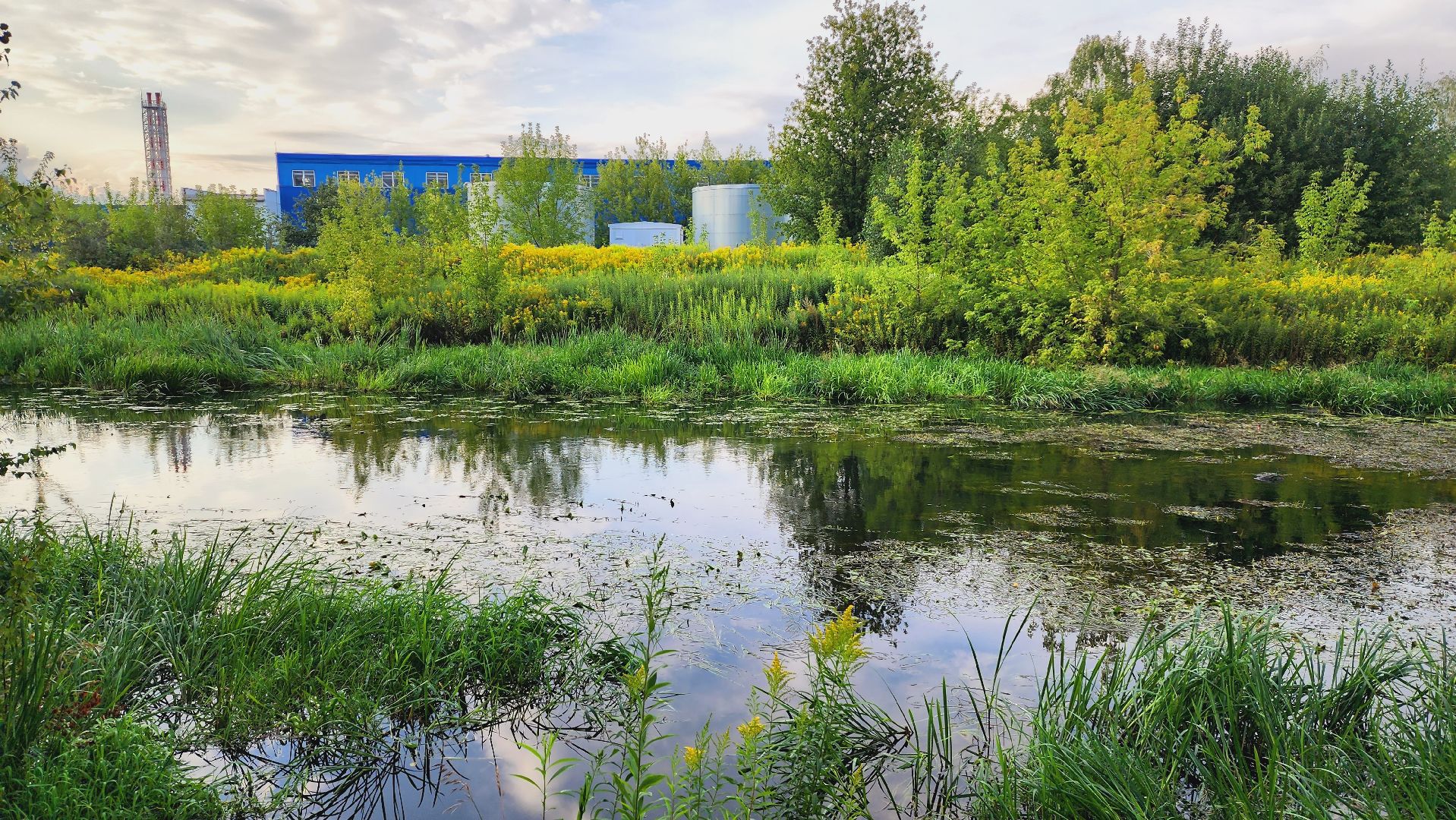 Подмосковье, Ивантеевка, благоустройство, пушкинский округ, парк,