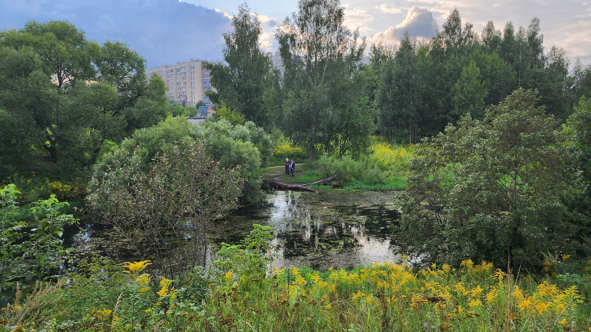 Подмосковье, Ивантеевка, благоустройство, пушкинский округ, парк,