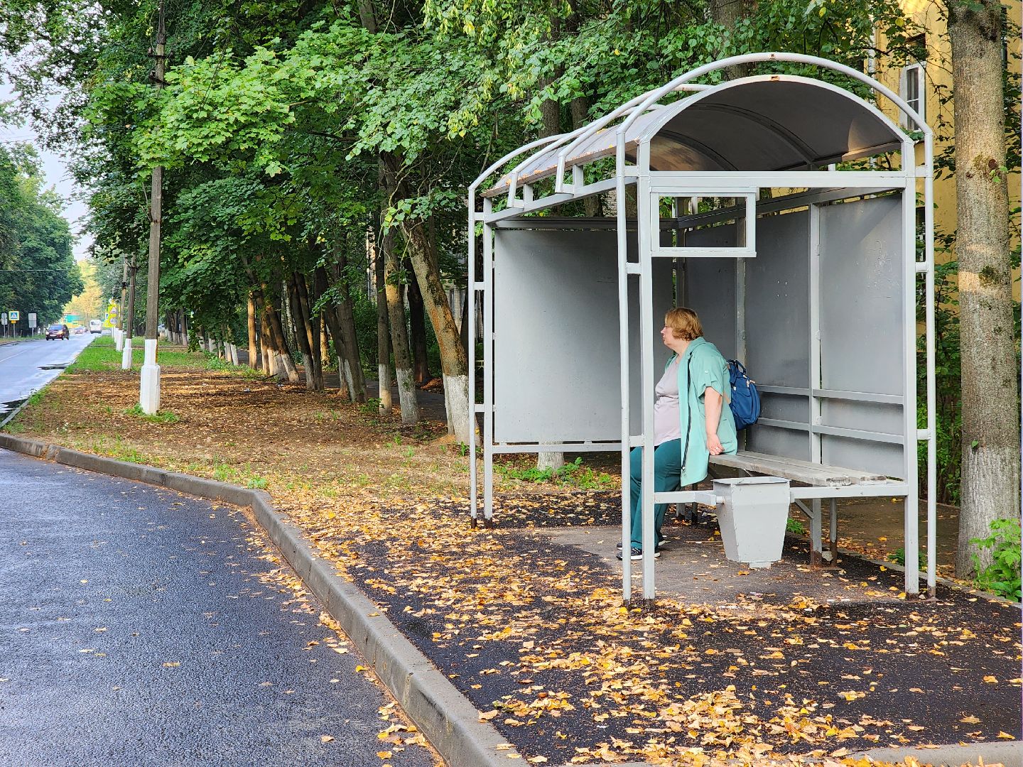 пушкино, доброе дело, благоустройство,