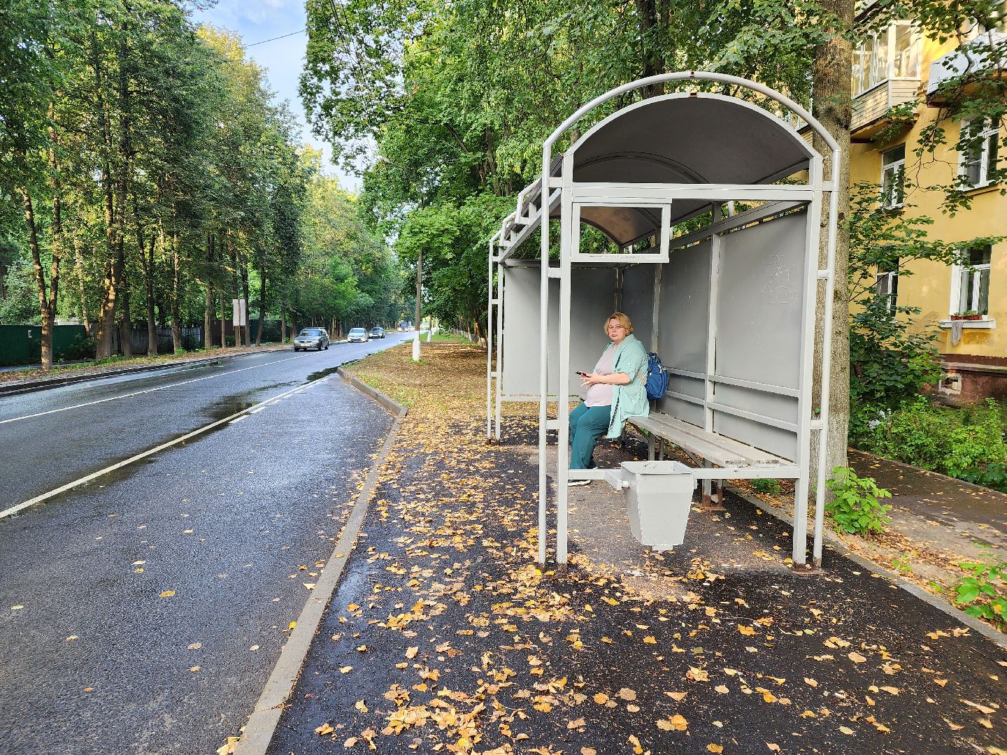 пушкино, доброе дело, благоустройство,