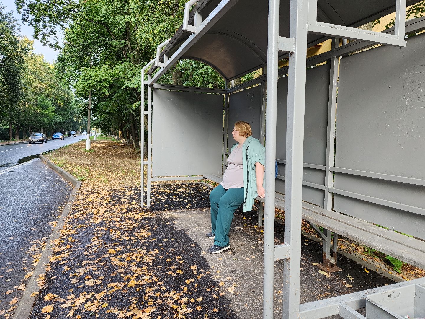 пушкино, доброе дело, благоустройство,