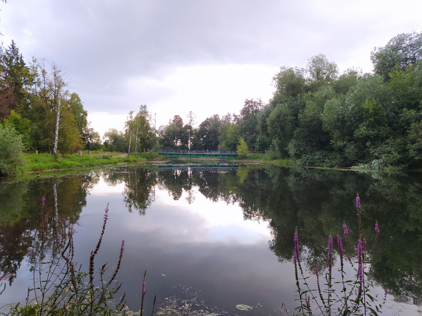 Нахабино, пруд, очистка