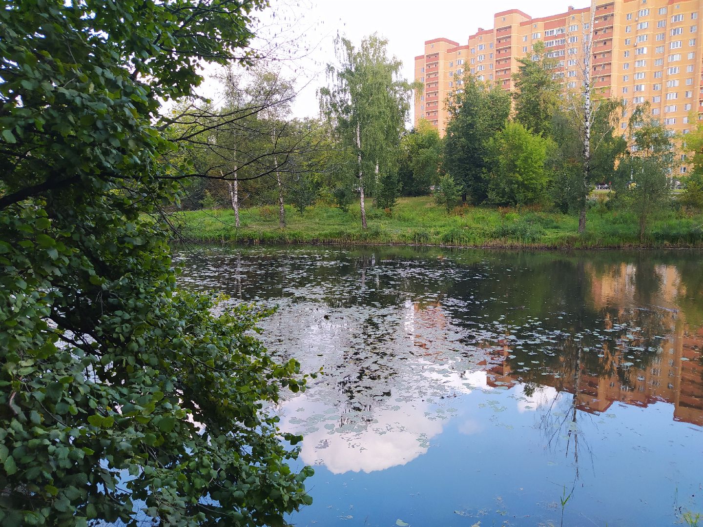 Нахабино, пруд, очистка