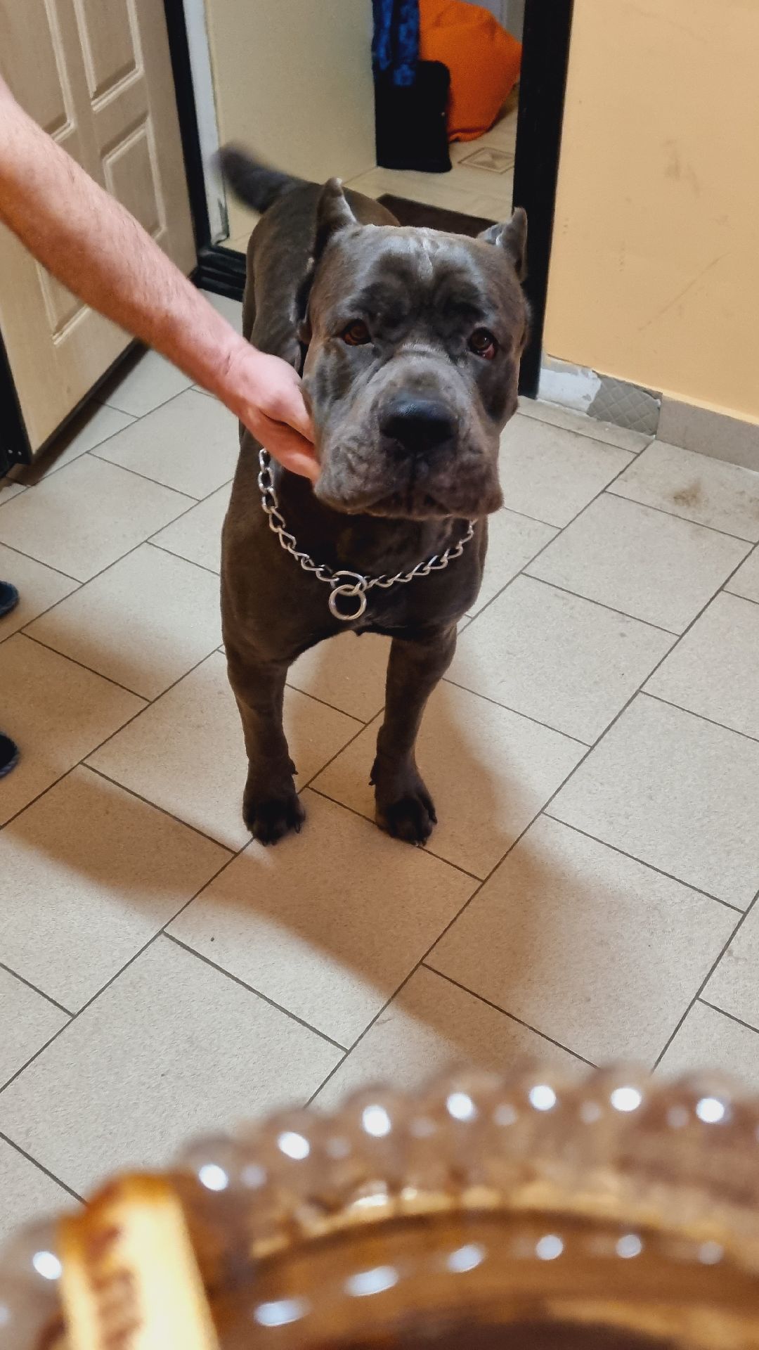 Подмосковье, Ивантеевка, дети,