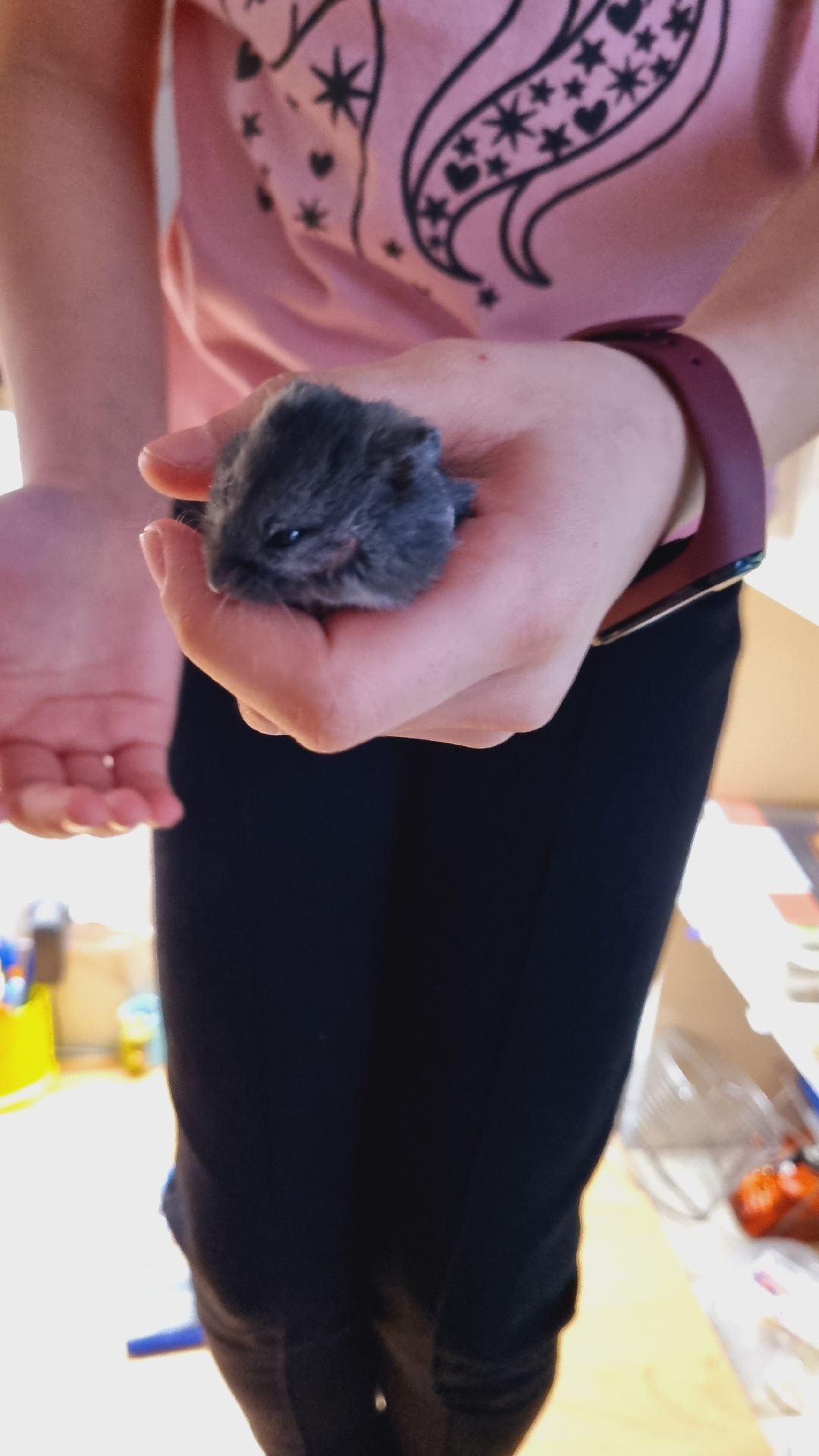 Подмосковье, Ивантеевка, дети,