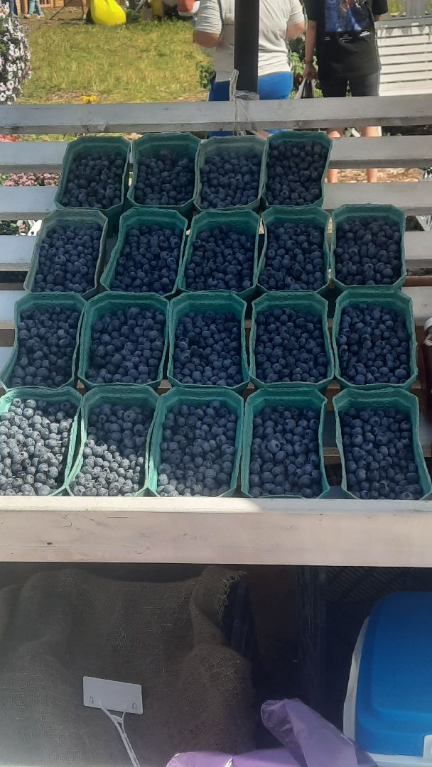 Звенигород, сельское хозяйство, садовый центр