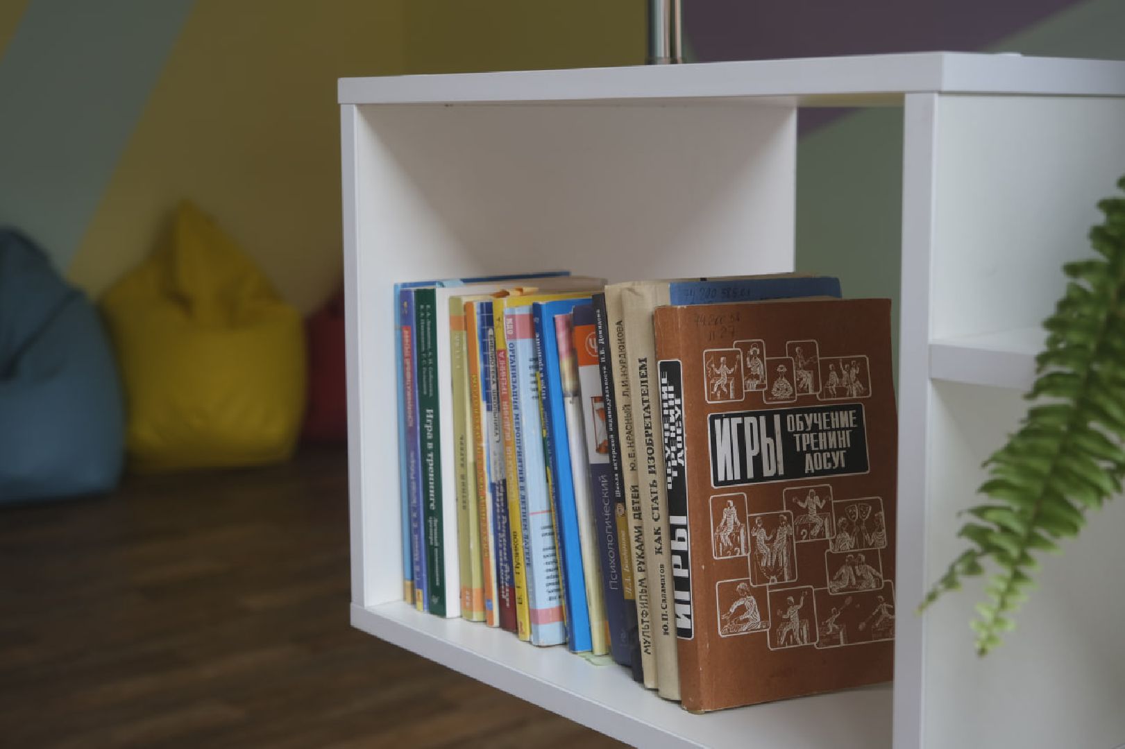 Пущино, образование