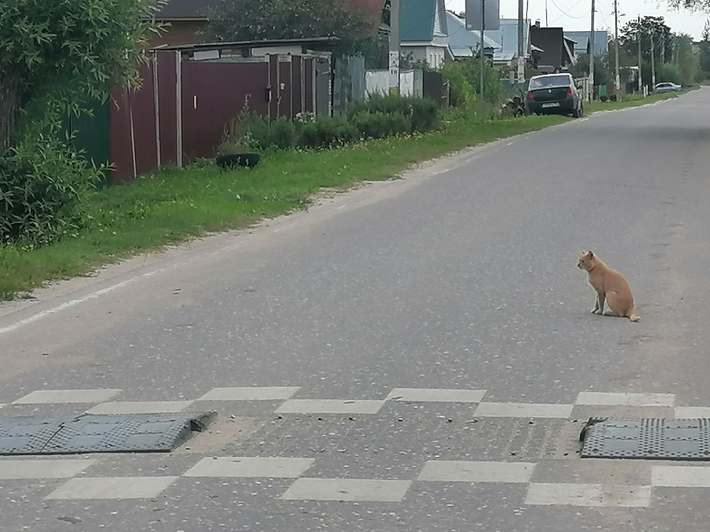 народнаятропа