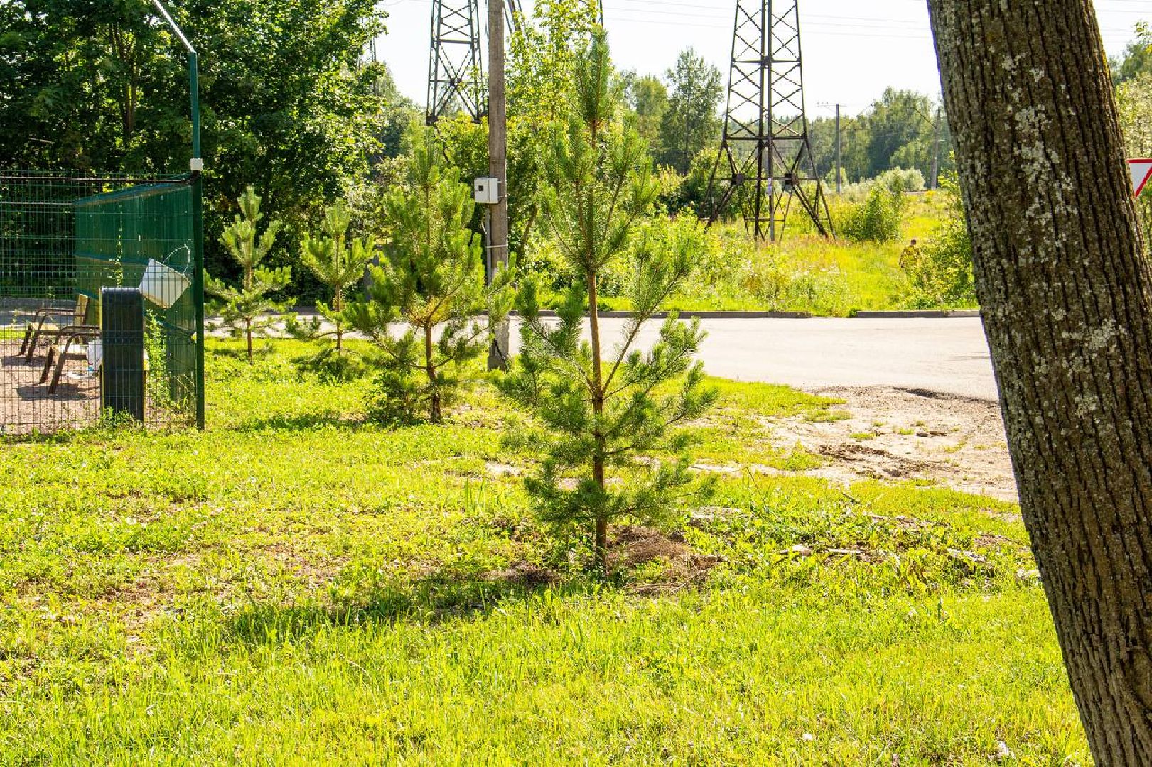 Подольск, благоустройство, население, инициатива жителей, власть