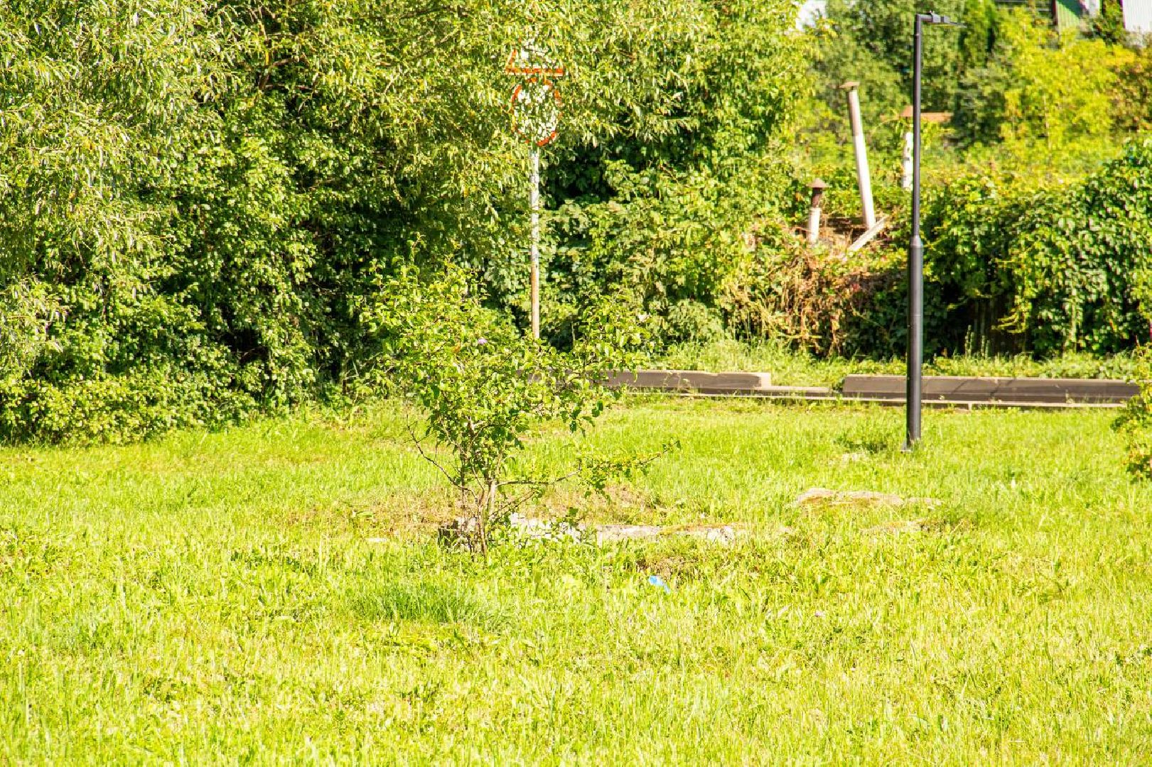 Подольск, благоустройство, население, инициатива жителей, власть