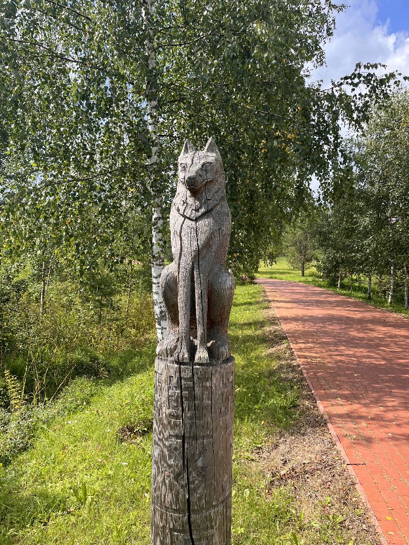 Шаховская, кфх, козы, ферма