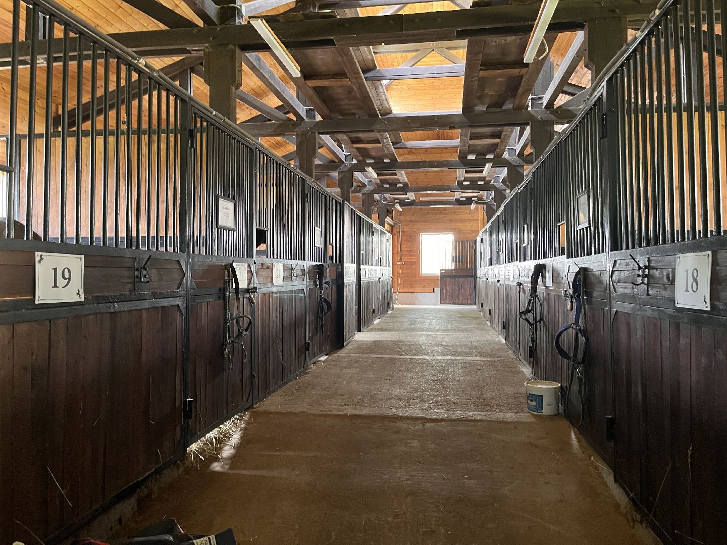 Шаховская, кфх, козы, ферма