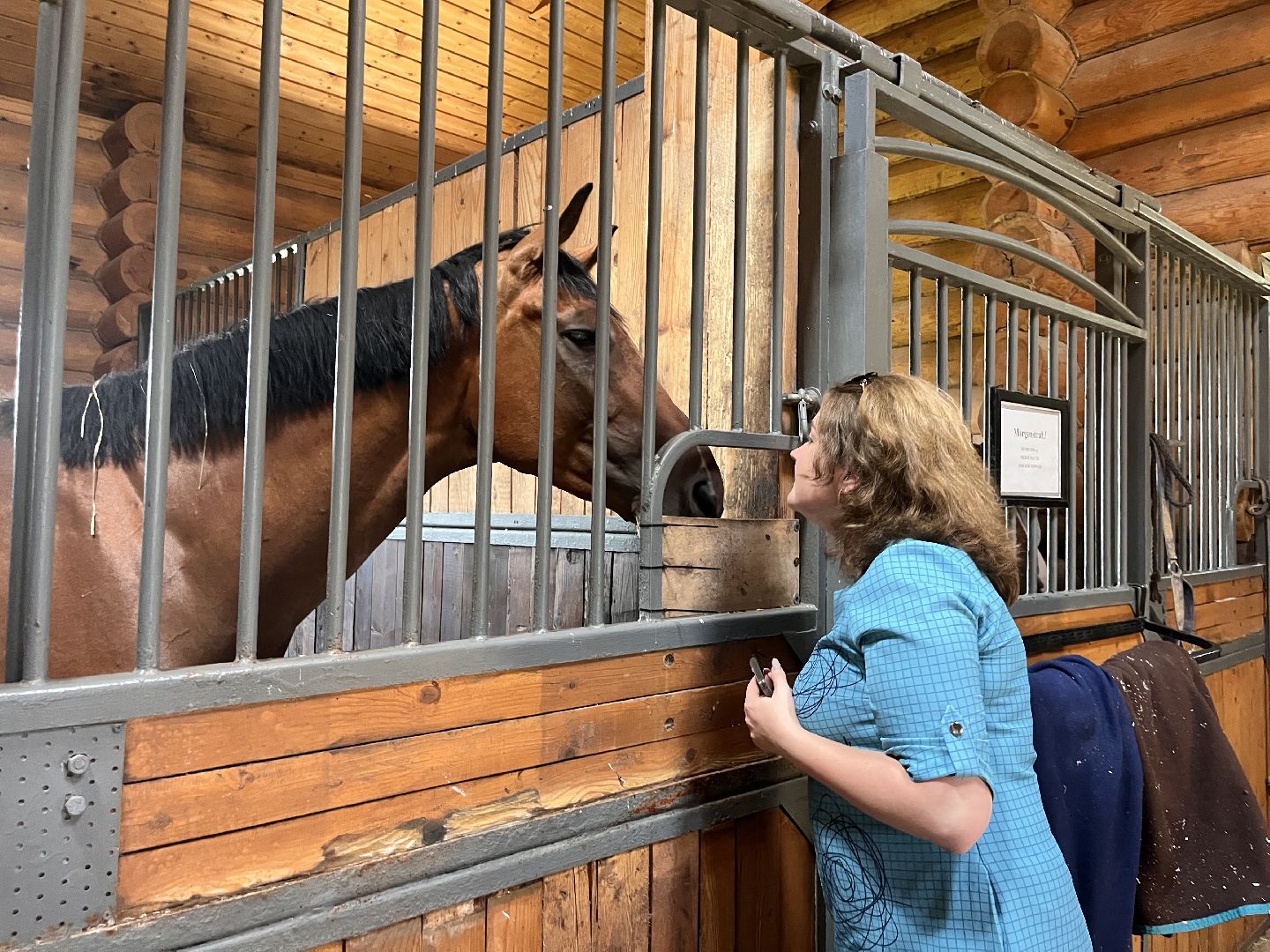 Шаховская, кфх, козы, ферма