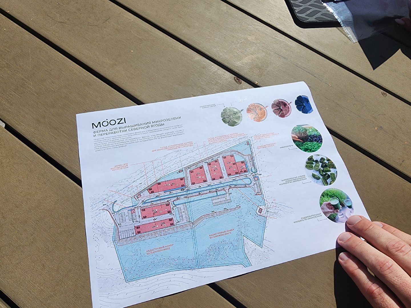 Красноармейск, Пушкинский, господдержки, новое производство, правильное питание