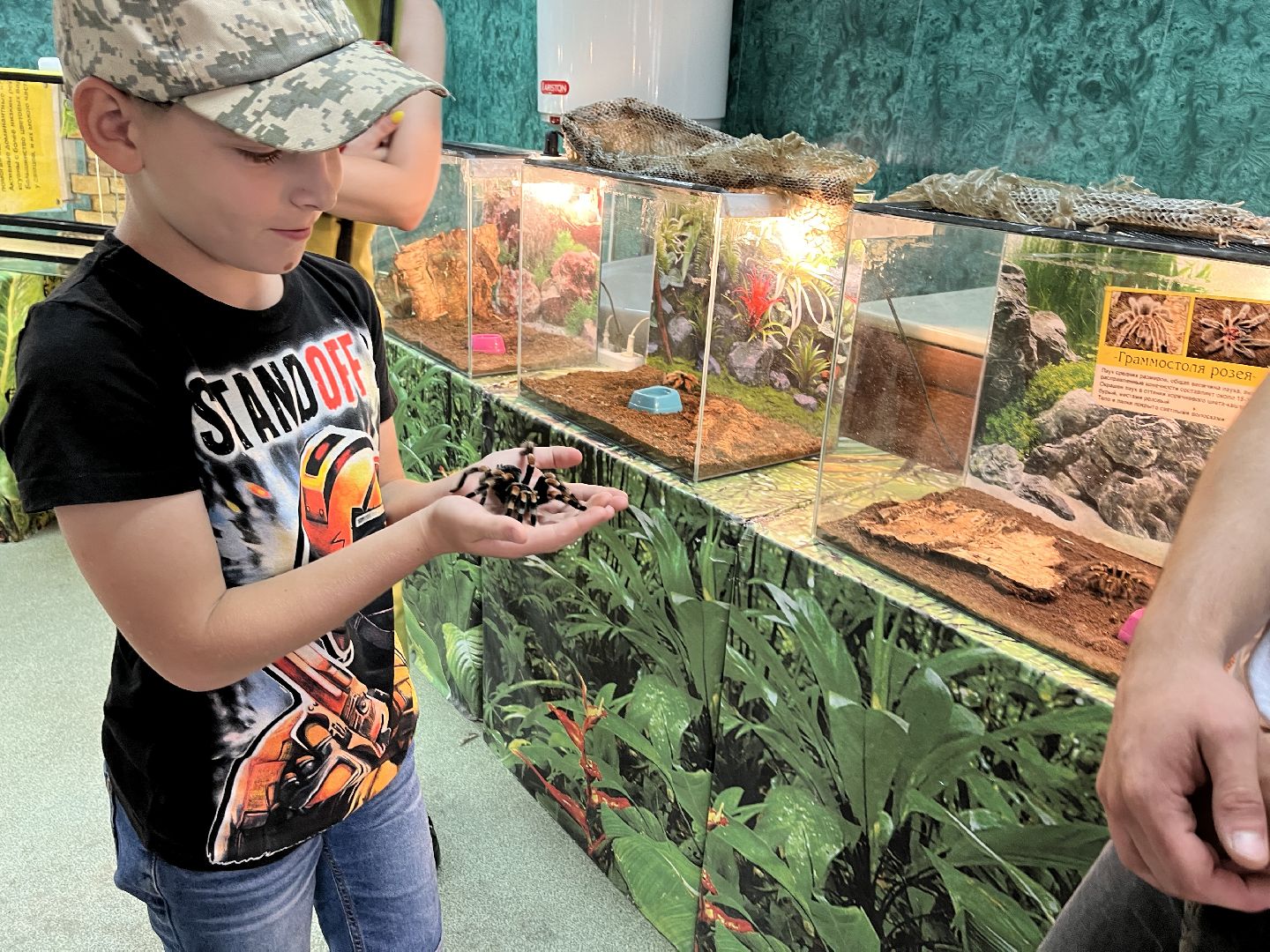 Шаховская, змеи, пауки, выставка