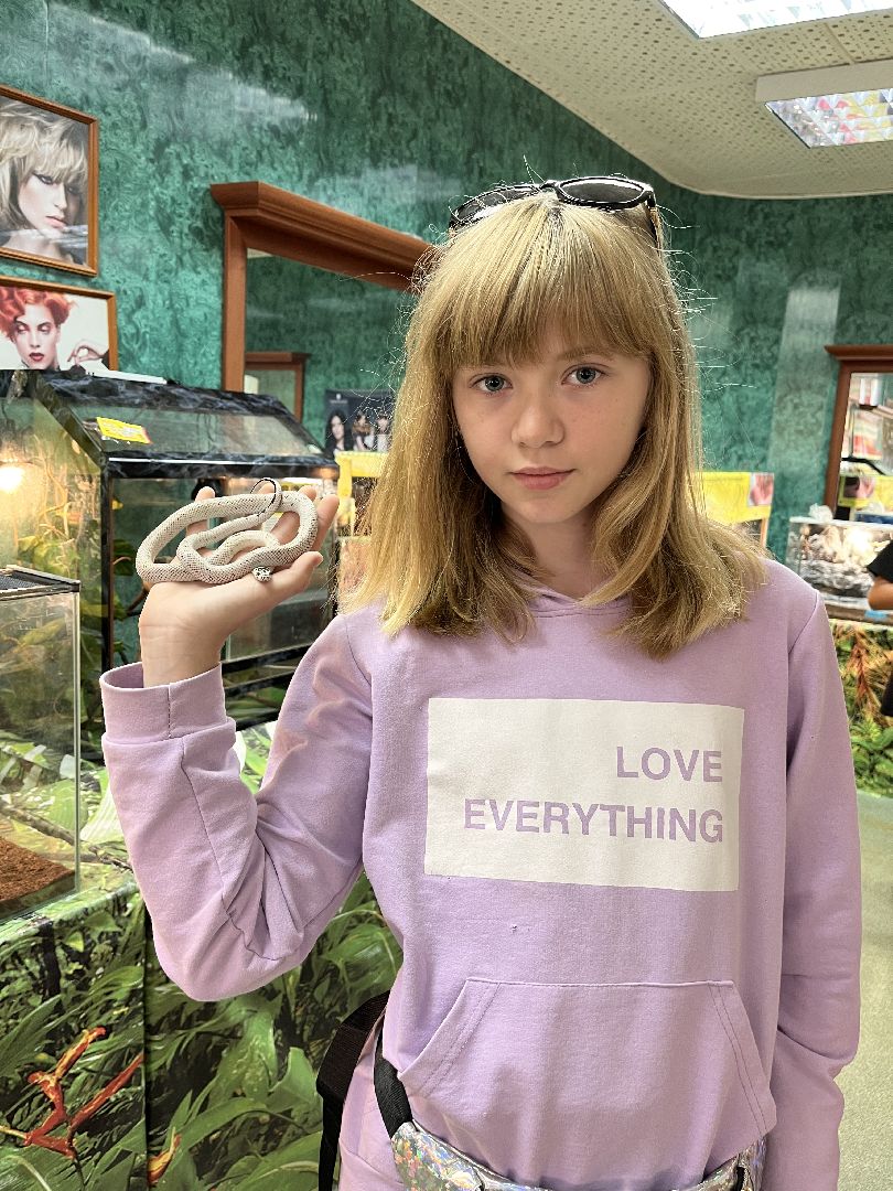 Шаховская, змеи, пауки, выставка