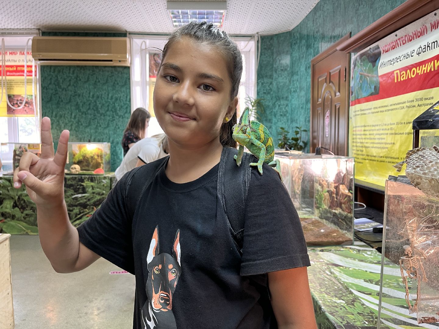 Шаховская, змеи, пауки, выставка