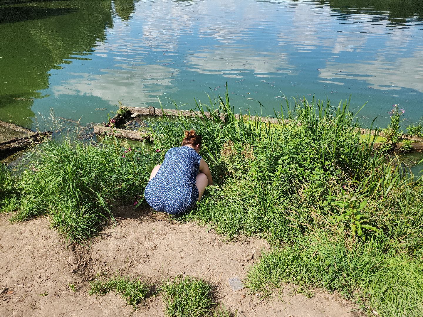 экология; субботник; чистая вода; волонтеры