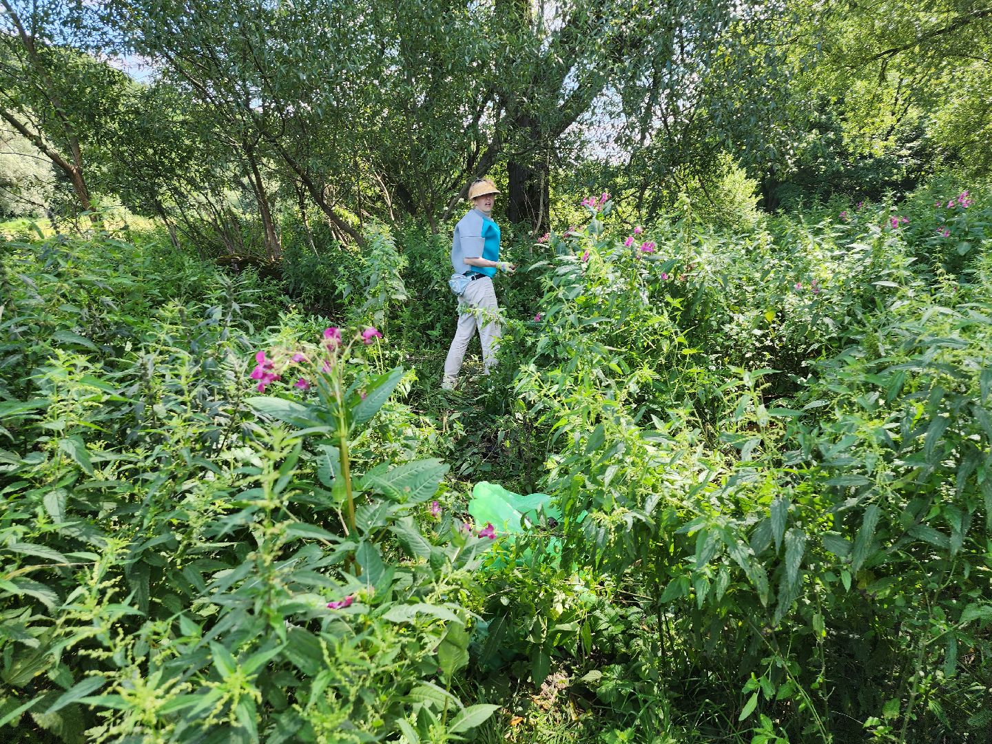 экология; субботник; чистая вода; волонтеры