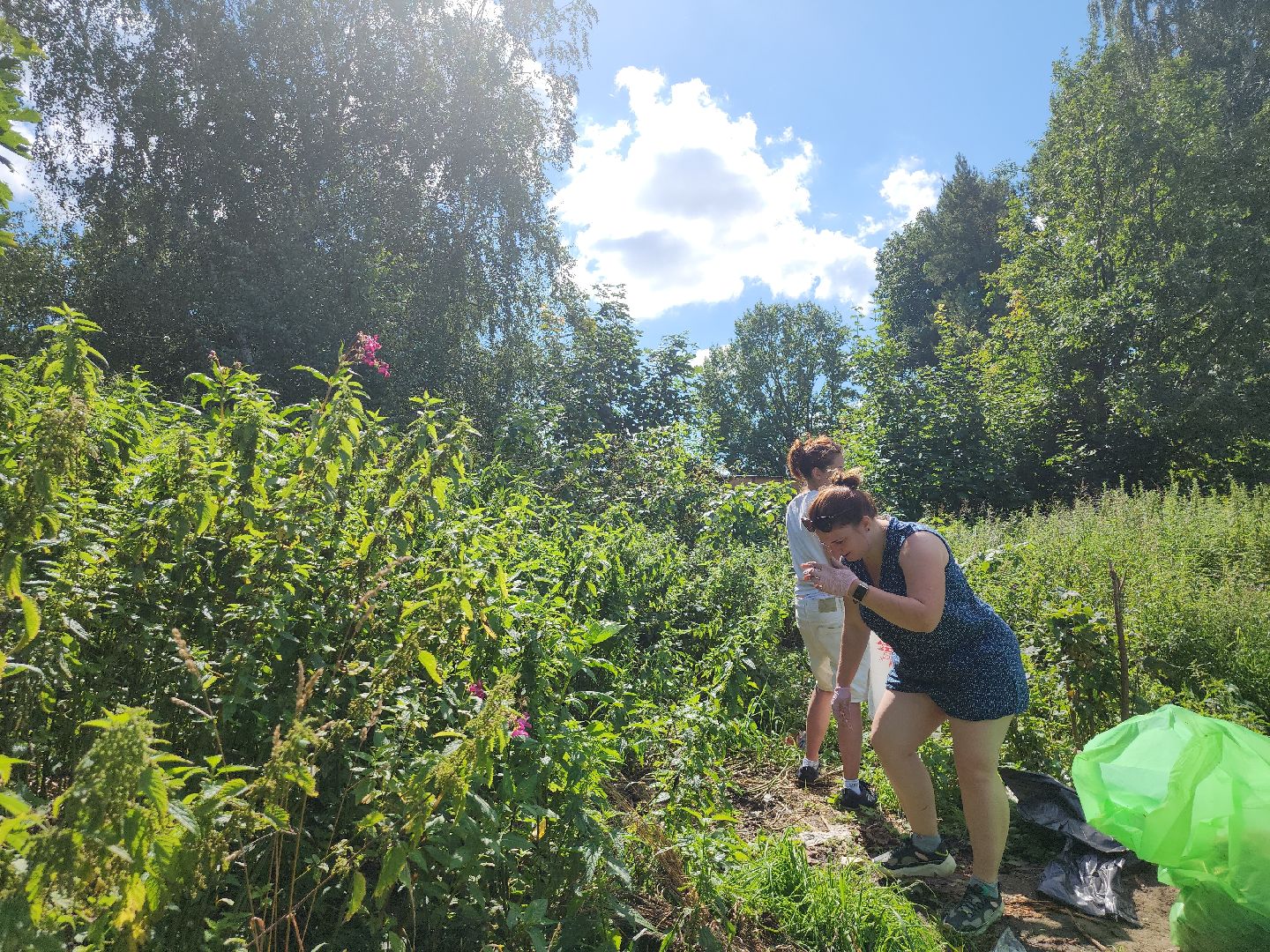экология; субботник; чистая вода; волонтеры