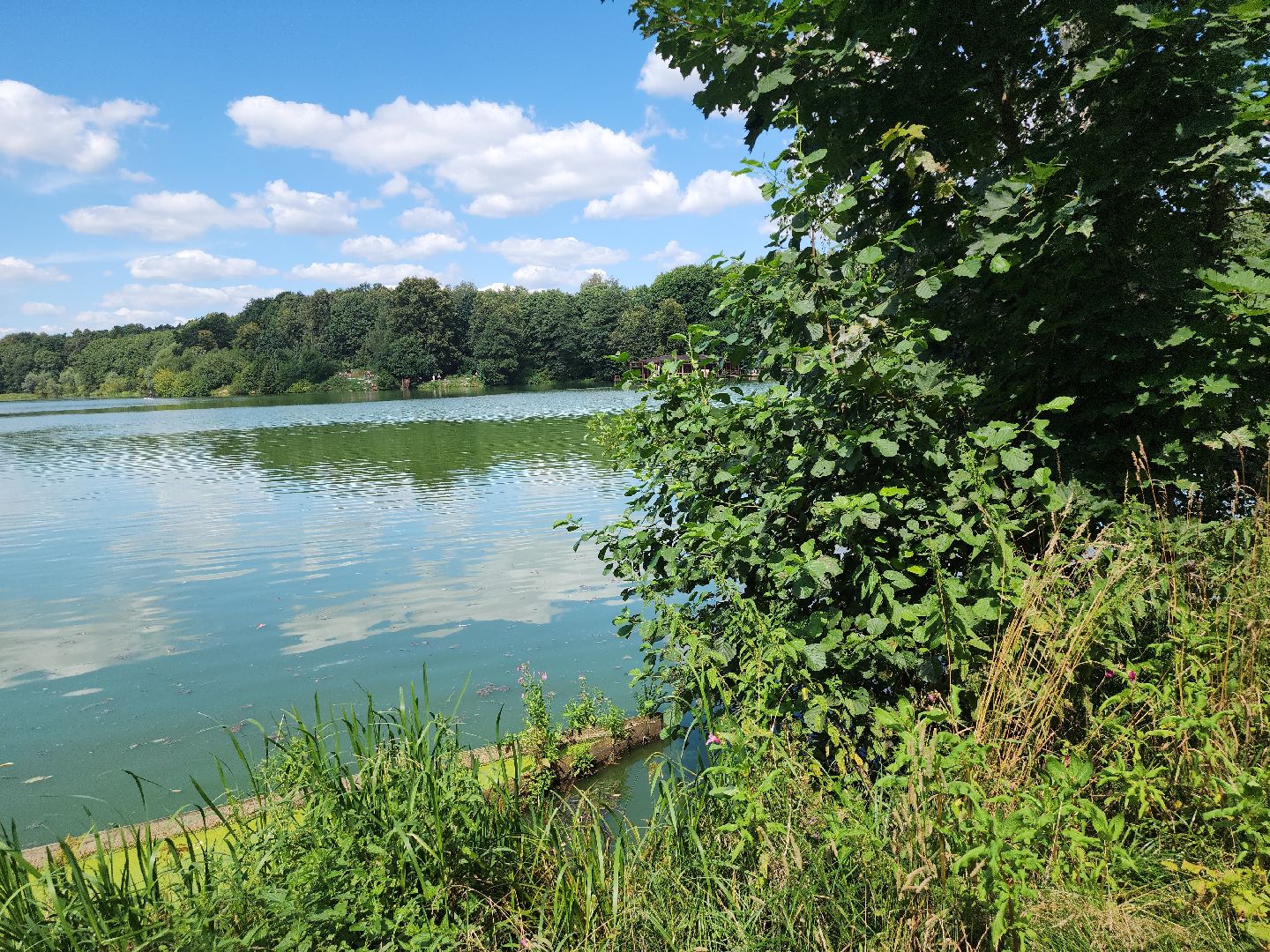 экология; субботник; чистая вода; волонтеры