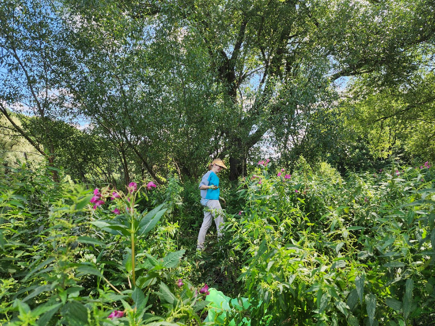 экология; субботник; чистая вода; волонтеры