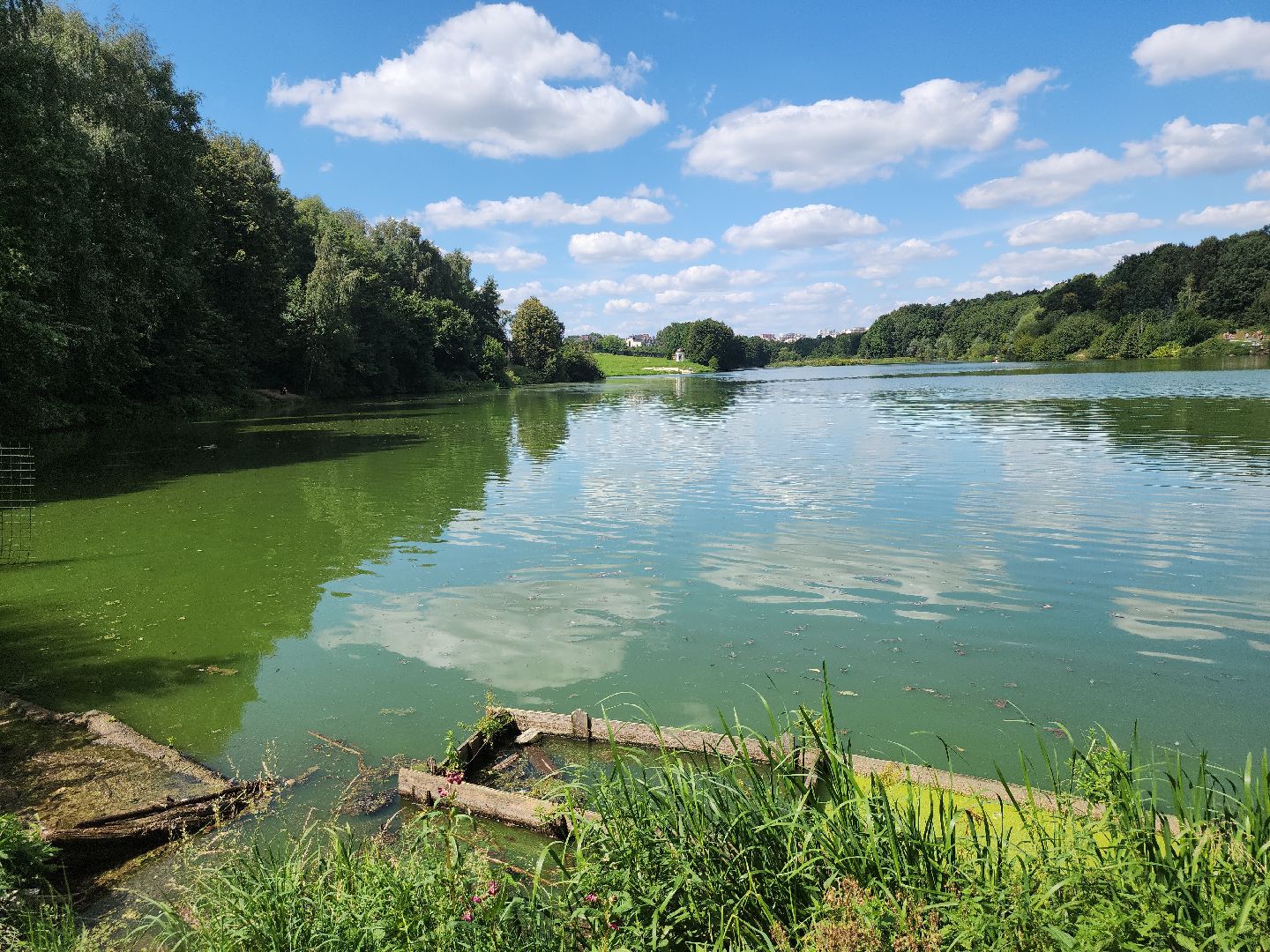 экология; субботник; чистая вода; волонтеры