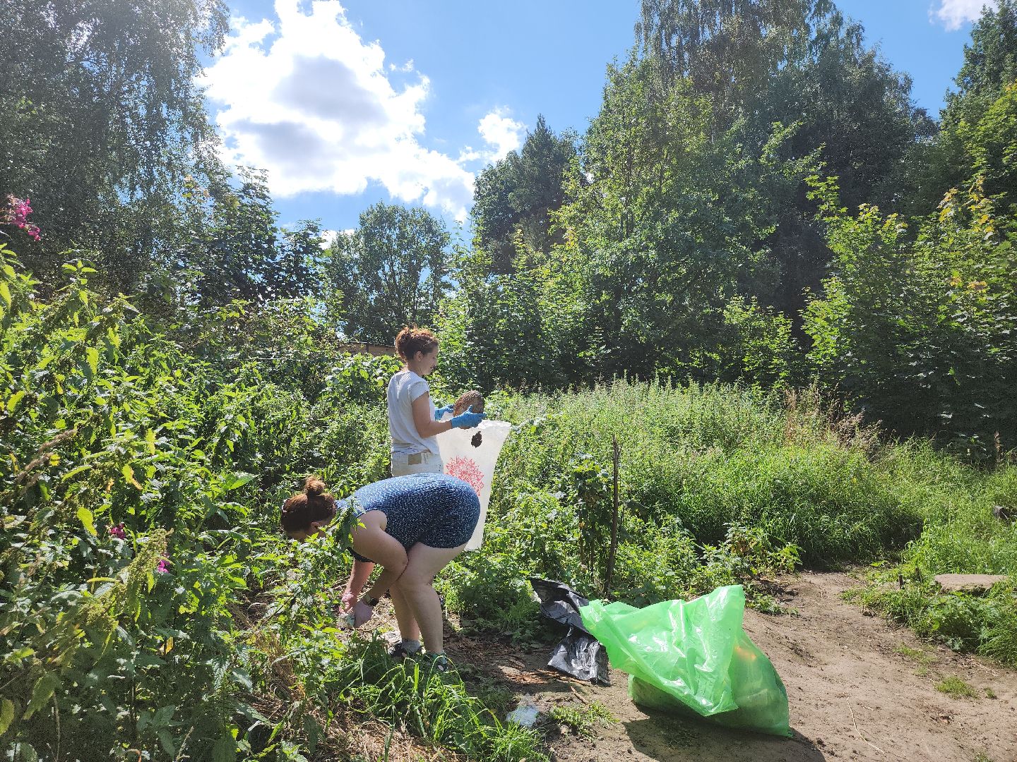 экология; субботник; чистая вода; волонтеры