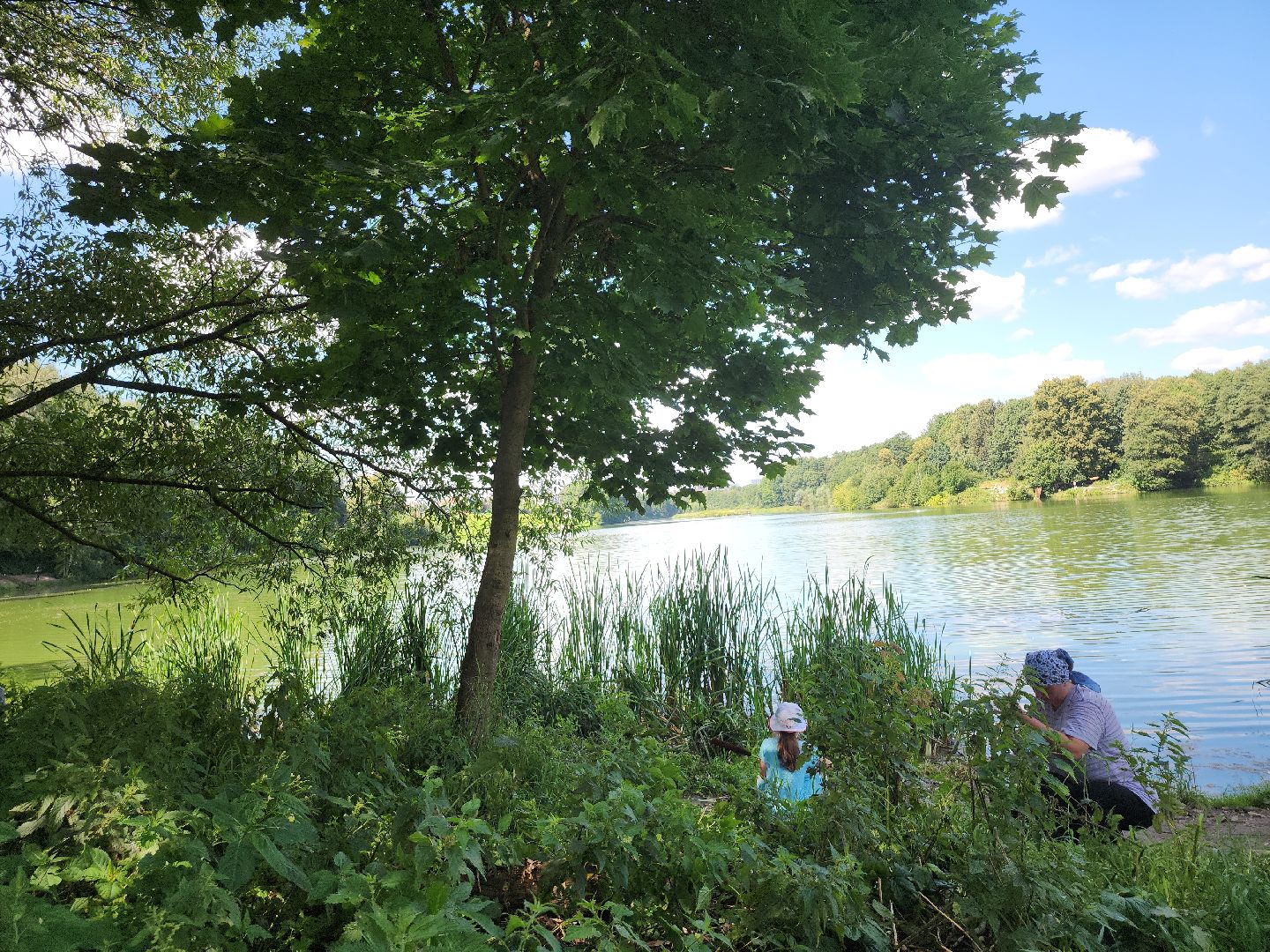 экология; субботник; чистая вода; волонтеры