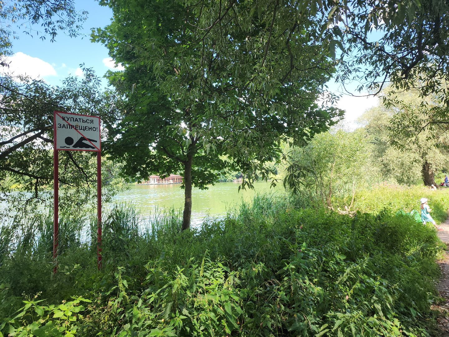 экология; субботник; чистая вода; волонтеры