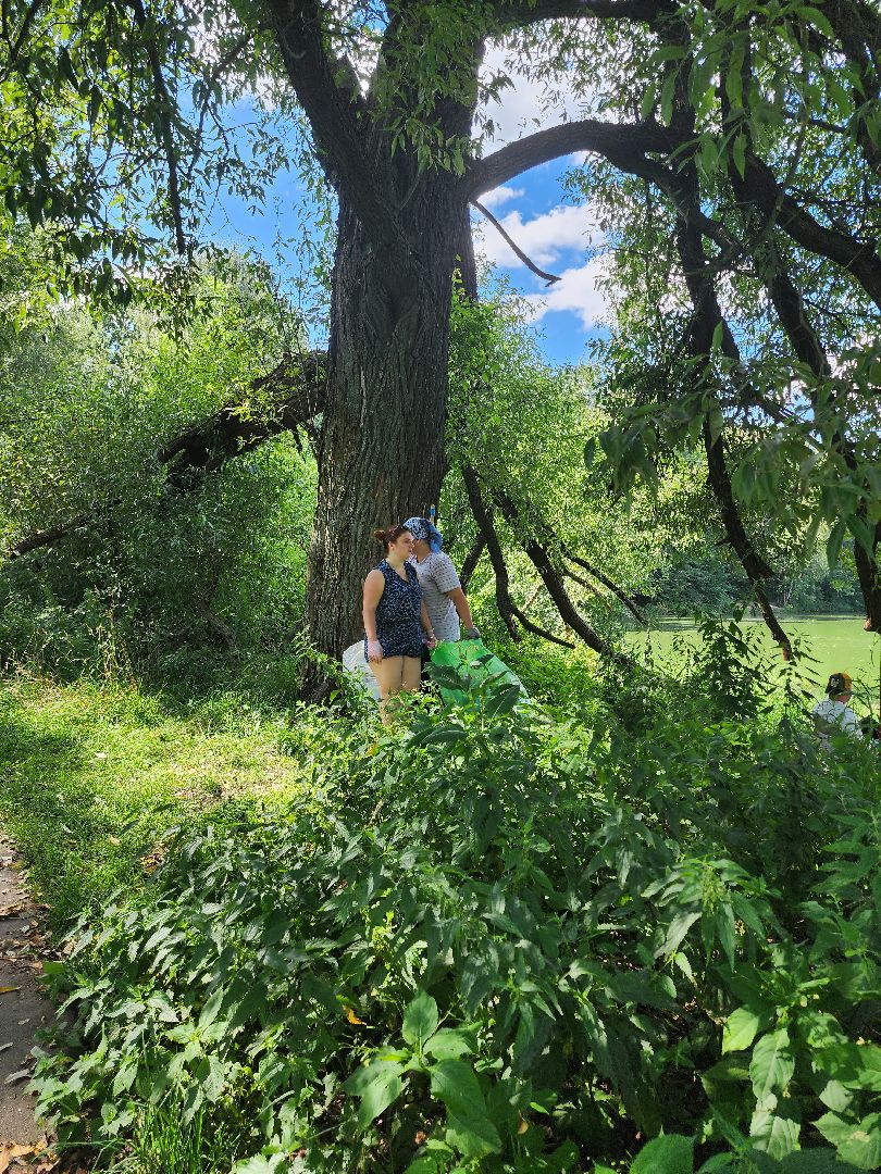 экология; субботник; чистая вода; волонтеры