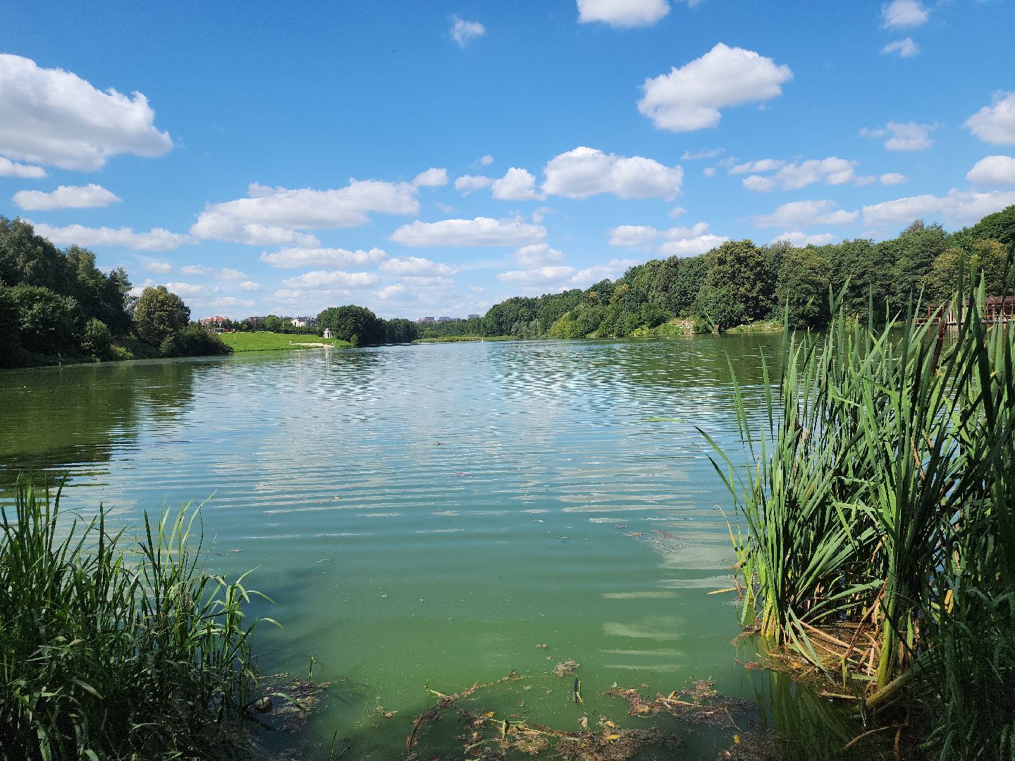 экология; субботник; чистая вода; волонтеры