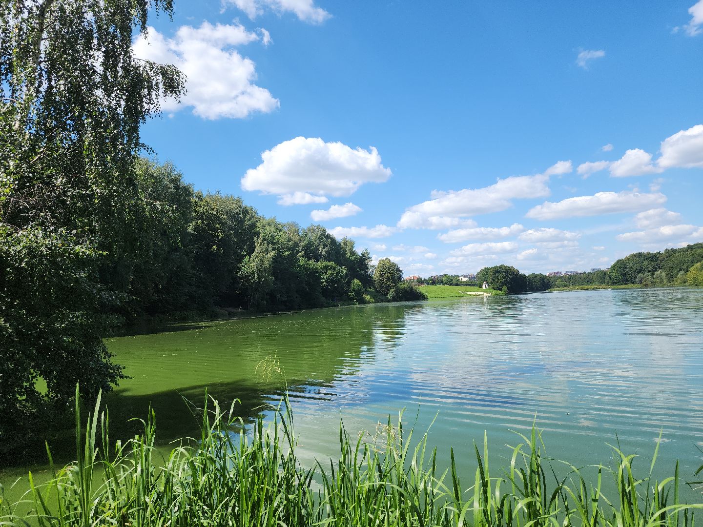 экология; субботник; чистая вода; волонтеры