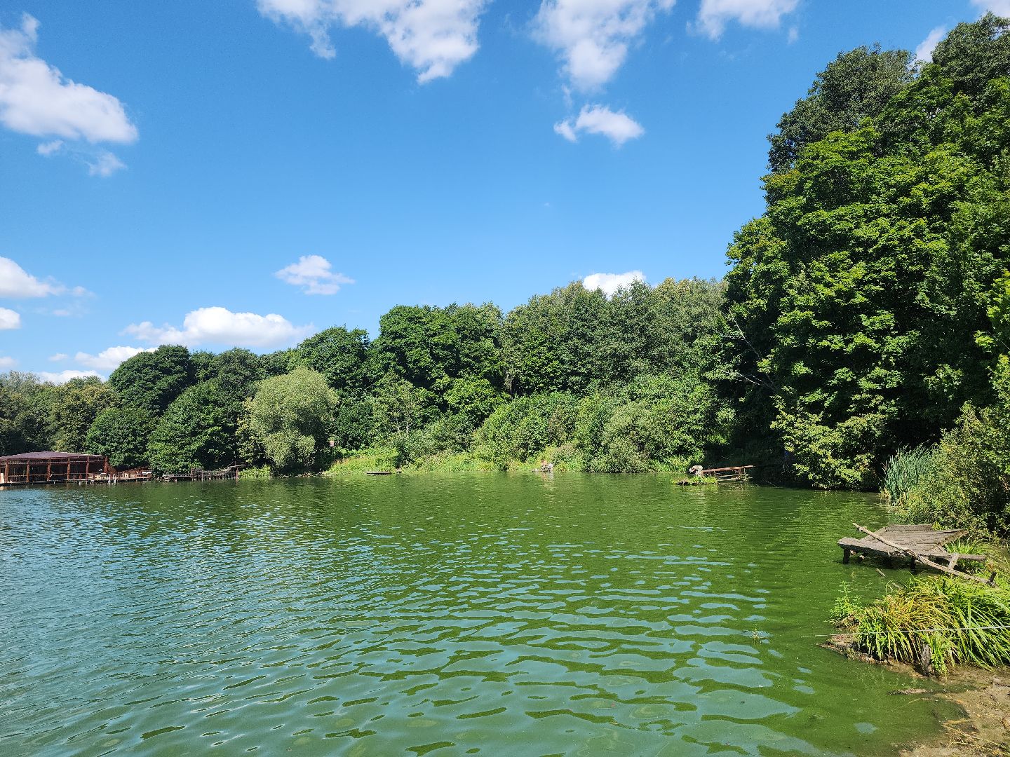 экология; субботник; чистая вода; волонтеры
