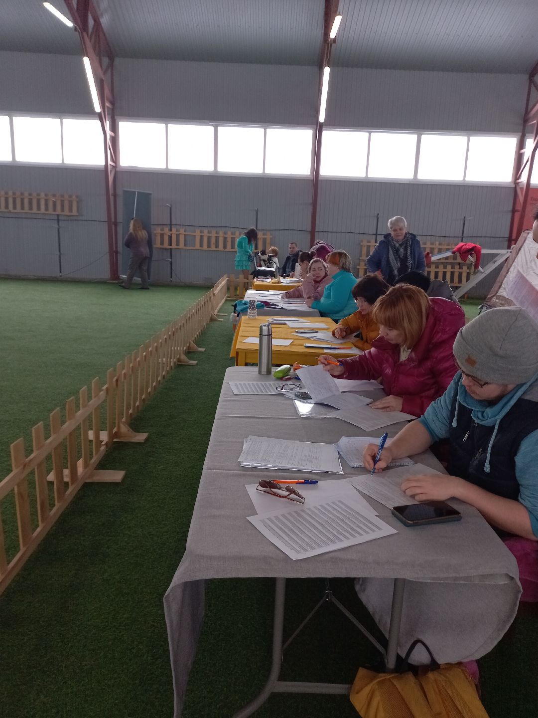 собака, Раменское, танцы с собаками, овчарка