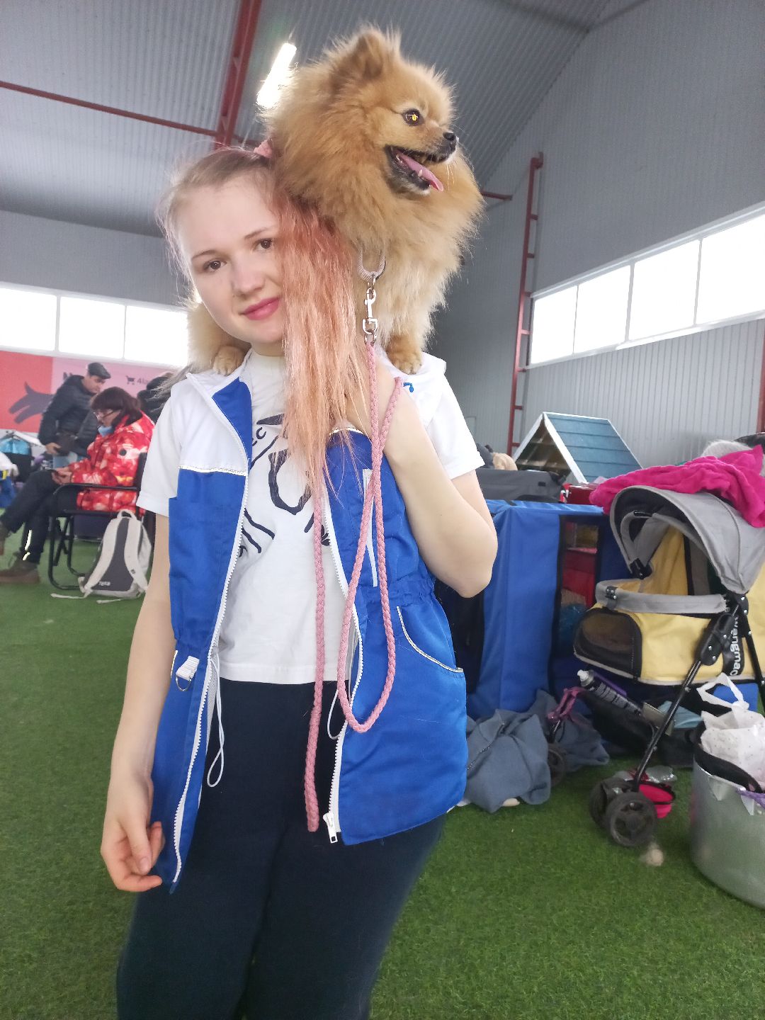 собака, Раменское, танцы с собаками, овчарка