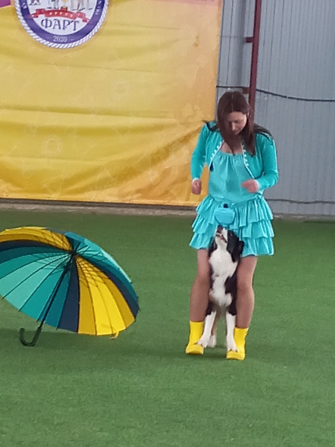 собака, Раменское, танцы с собаками, овчарка