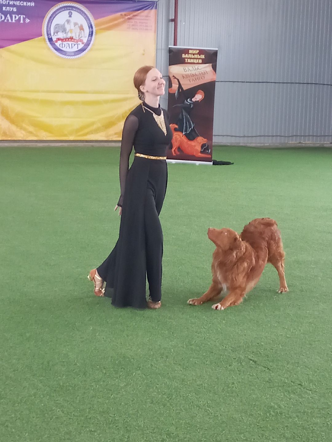 собака, Раменское, танцы с собаками, овчарка