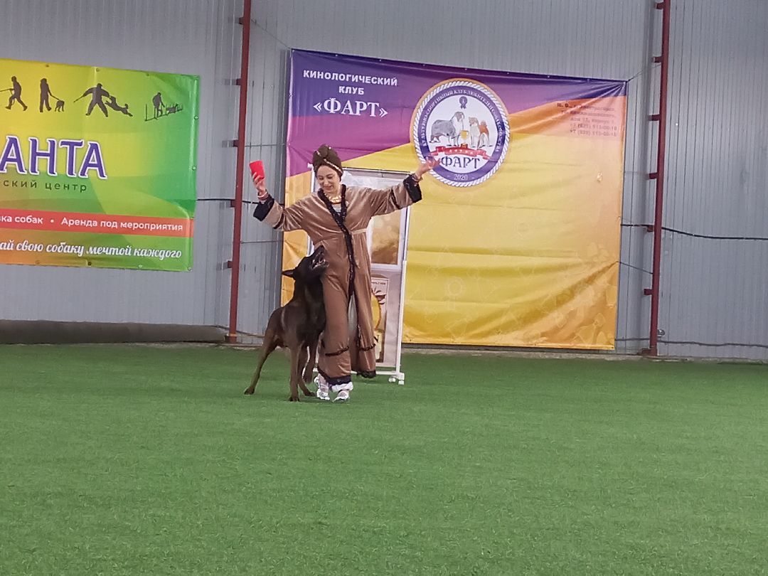 собака, Раменское, танцы с собаками, овчарка