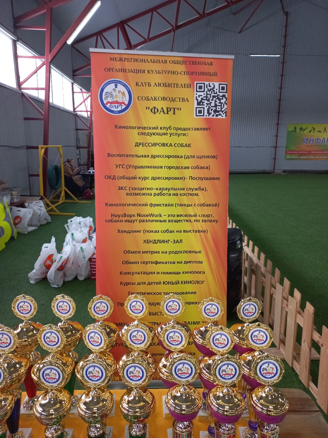 собака, Раменское, танцы с собаками, овчарка