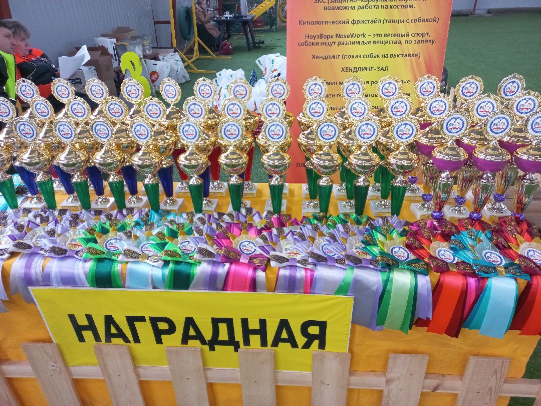 собака, Раменское, танцы с собаками, овчарка