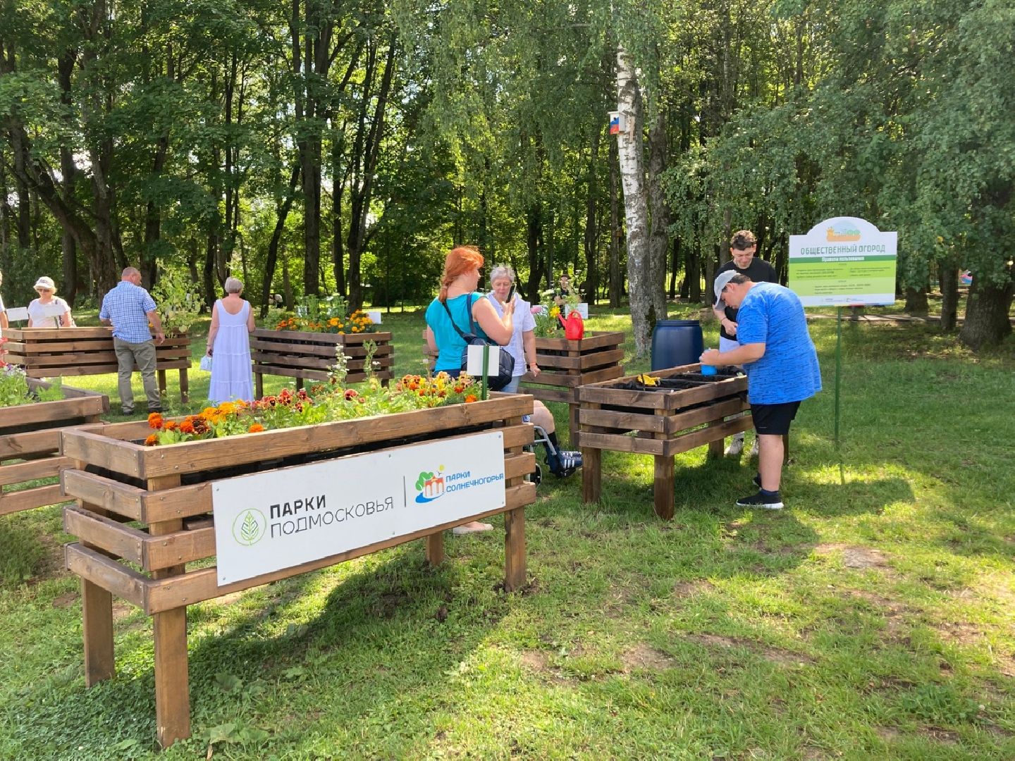 Солнечногорск, парк, инвалиды, огород, общество