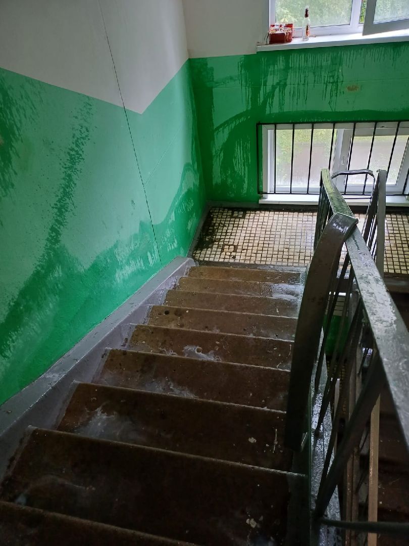 Лобня, ЖКХ, таракан