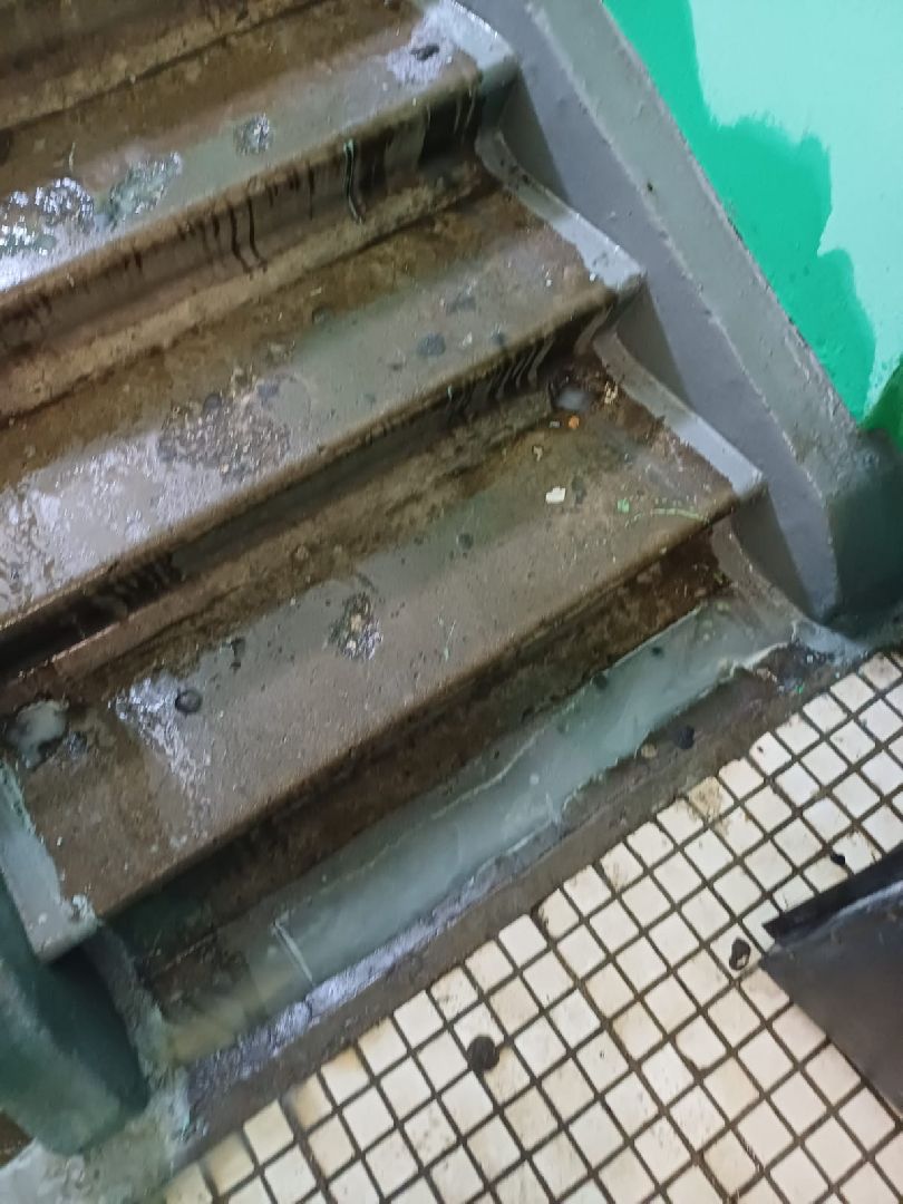 Лобня, ЖКХ, таракан