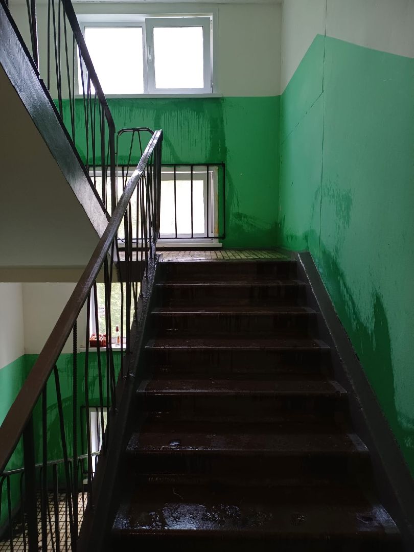 Лобня, ЖКХ, таракан